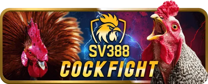 Hoàn trả Slot